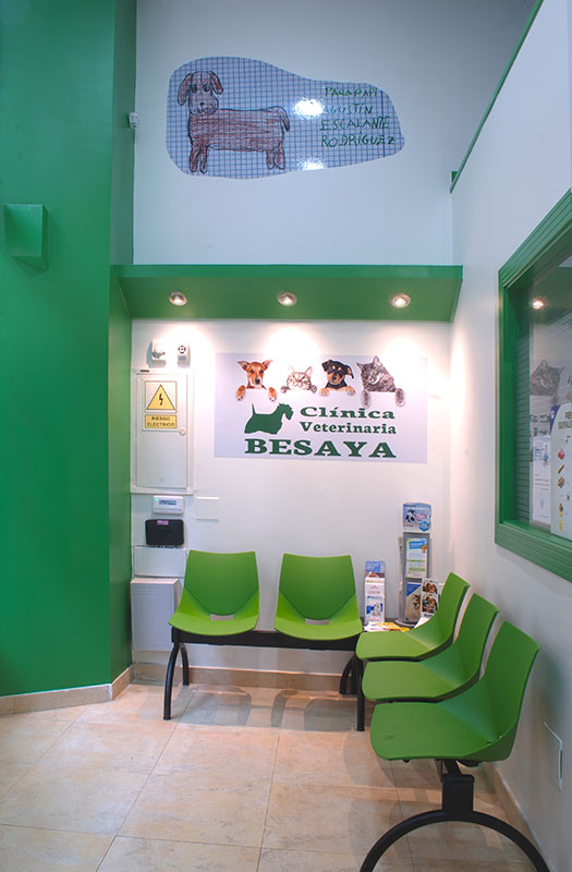 sala de espera de clinica veterinaria Besaya en torrelavega