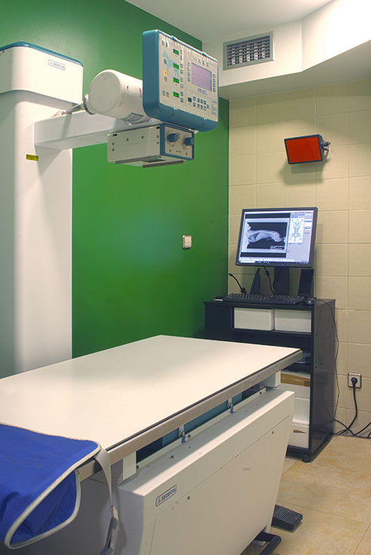 sala de radiografias de clinica veterinaria en torrelavega